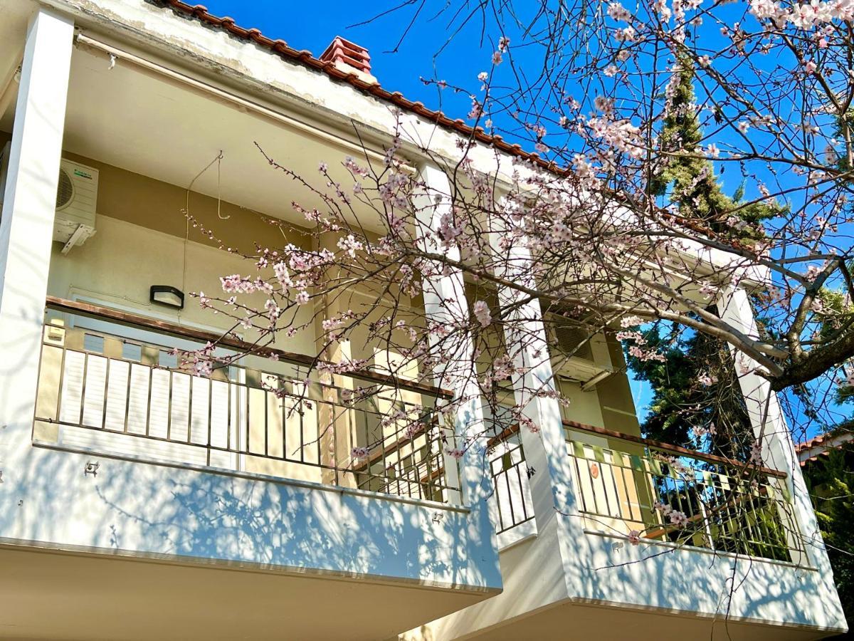Nikiti Beach Houses Экстерьер фото