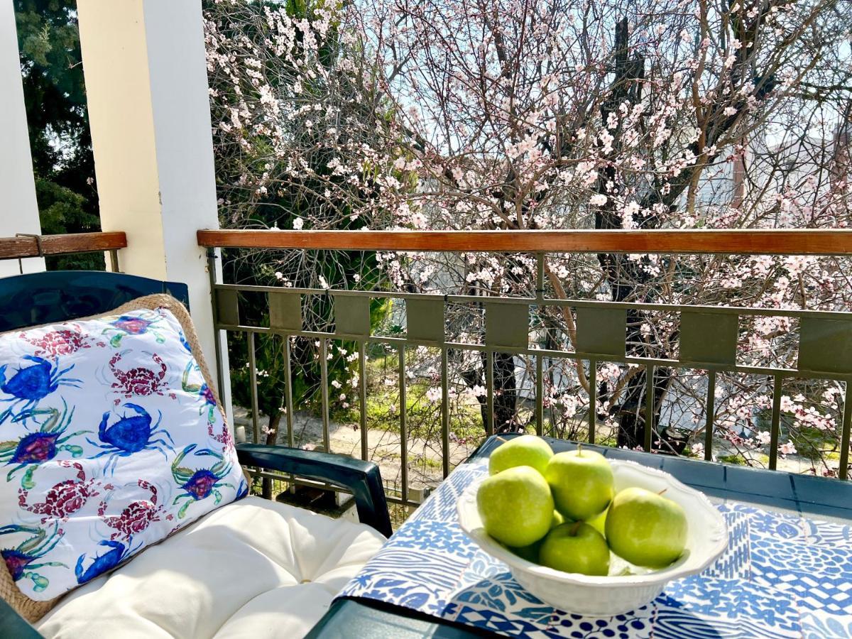 Nikiti Beach Houses Экстерьер фото